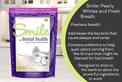 Мека дъвка за здравето на зъбите In Clover Smile Daily за котки (10,5 грама) и Пъргав Daily за поддържане на дишането и точка Мека дъвка