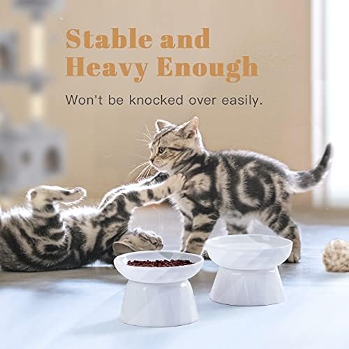 Купички за котки Frewinky Ceramic Slow Устройство, Комплект Мисок за Суха/Влажна храна и вода за котки и Малки Кучета с Бавното хранене
