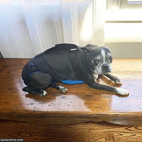 Гащеризон за кучета Barkertime Black, който предпазва от бягство. премиум-клас, XXL, с отвор за опашката - Произведено в САЩ