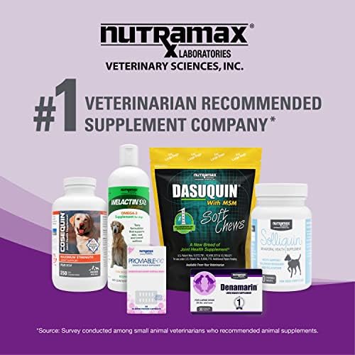 Добавка за здравето на ставите Nutramax Dasuquin за котки - Съдържа глюкозамин, хондроитин, ГЪРБИЦИ, екстракт от Босвеллии
