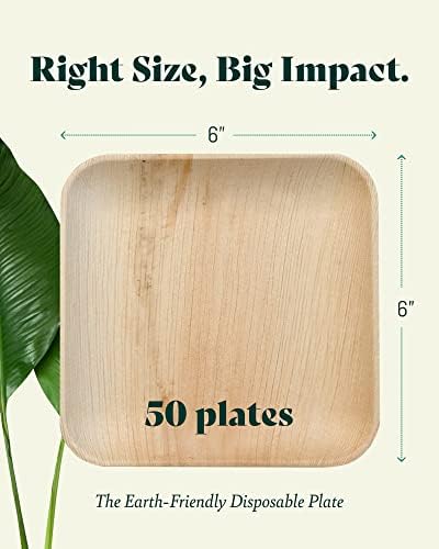 Шик чинии от палмови листа, подобни на бамбук чинии за Еднократна употреба Квадратни 6 инча (50 чинии) - Комплект чинии за