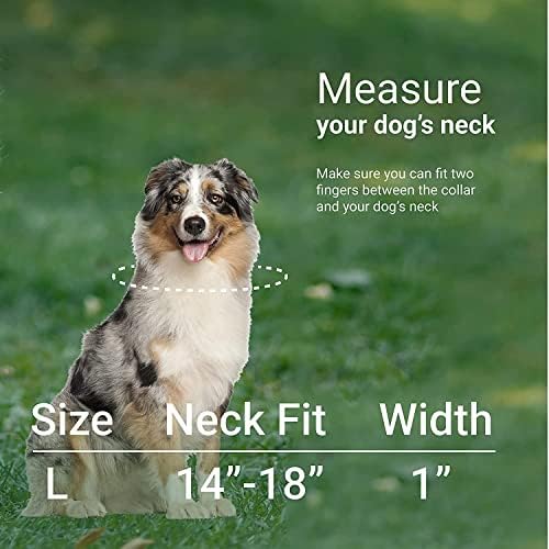CollarDirect Лилаво Геометричен нашийник за кучета, Нашийник на домашен любимец за малки кучета или на малки кученца среден размер