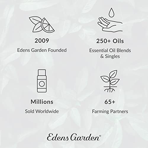 Синергетическая смес от етерични масла Edens Garden Good Morning, чист Терапевтичен клас (Неразбавленные смес от натурални / хомеопатични