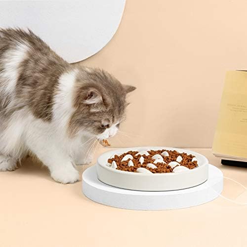 Купа за бавно хранене на котки и малки кучета MSBC за домашни любимци - Дизайн, басейн с рибки, Забавна Интерактивна купа-пъзел със