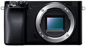 Камера A6100 Беззеркальная Цифров фотоапарат Само за корпуса на Цифрова камера (Цвят: A6100-01)