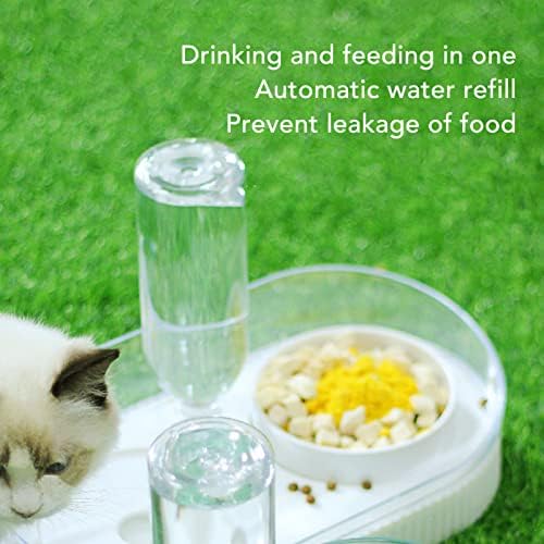 Набор от Мисок за вода, за Храна за домашни любимци, на Принципа на Сифон за Здравословно Хранене Наклонени Красиви Чаши за котки с