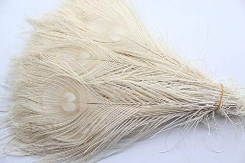 Бижута Pumcraft DIY 50 бр./Естествени бели Паунов пера в окото, от 10 до 12 инча, украса от павлиньих пера за сватбената парти
