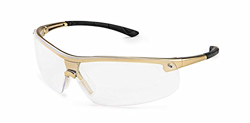 Защитни очила Портал Safety 34AG80 Ingot в златна рамка, Стандартни, С прозрачни лещи