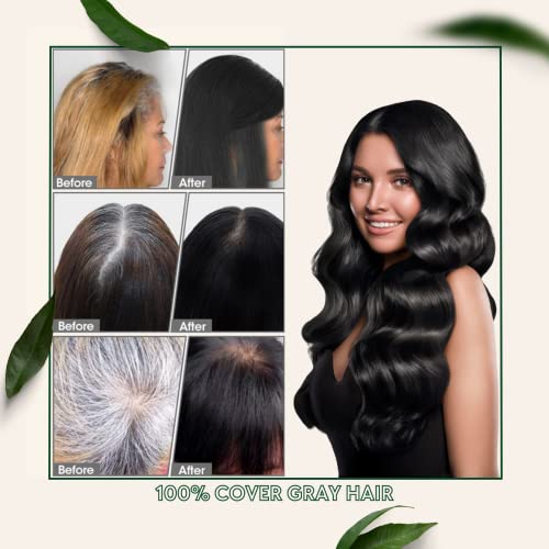 ALOYGUZ Черно Шампоан-боя За коса За жени и Мъже, 3 В 1 Миг Билков Цвят на Косата, Лесен За употреба, Покриване на белите