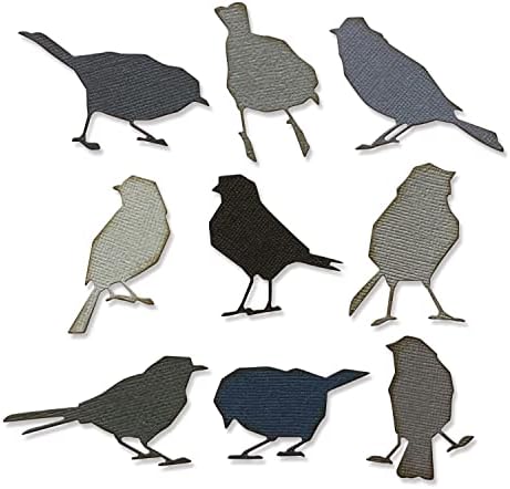 Комплект печати Sizzix Thinlits 9PK Силуэтные птици от Тим Хольца | 665861 |Глава 2 2022, Многоцветен