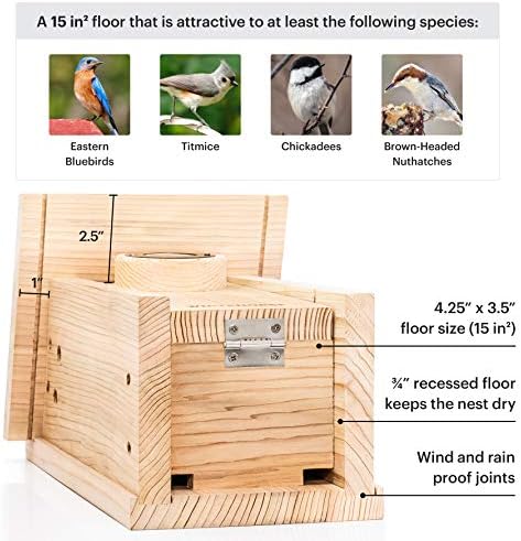 Къщичка за птици от кедър премиум-клас WHITEHORSE - Влагозащитен дизайн с един етаж, с площ 15 кв. инча - Къщичка за сини птици,