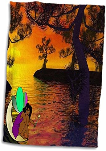 Триизмерно афроамериканской Феите На фона на Залеза над Водни кърпи (twl-240723-1)