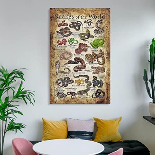 Плакат Светът на змии, Платно, Постери и щампи, Стенно изкуство, декорация за всекидневната, 16x24 инча, Платно, без рамка, Монтиране