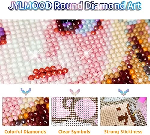JYLMOOD Princess Комплекти за рисуване с диаманти за възрастни - 5D Комплекти за рисуване с Диаманти за възрастни и Деца, Начинаещи, направи