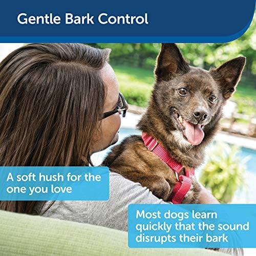 Ултразвуков лай PetSafe на открито - Вирусен на TikTok - Липса на средства за възпиране на лай на кучета от всички размери -