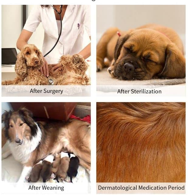 Костюм за възстановяване на Кучетата След операцията, Риза за Кученце, Дрехи за Заздравяване на рани, за Малки животни (Камуфлаж)