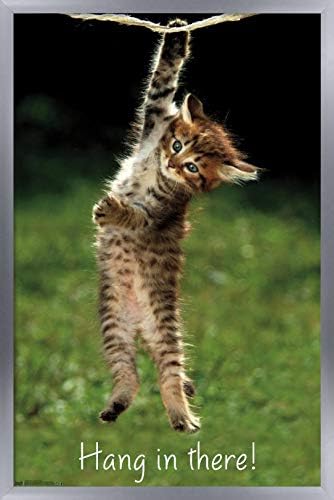 Trend Световно Известен Стенен Плакат с нейното Коте в Дървена Магнитна рамка, 22,375 x 34, Принт и Черна Закачалка в пакет