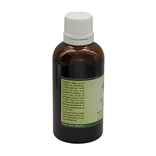 R V Чисто Етерично масло-носител, от семена от черен кимион 50 мл (1,69 унция) - Nigella Sativa ( Чисто натурално масло