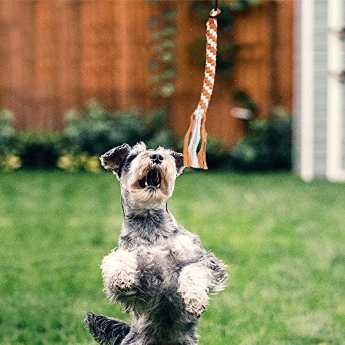IAIGOGO Flirt Pole Играчка за Кучета Пет Прибиращ се Тизерная Пръчка Flirt Stick с 2 Хлопчатобумажными с Въжета, Съпровождащ