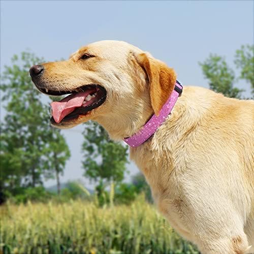 Нашийник за кучета TDTOK Glittering Bling, Удобен и здрав нашийник за малки кучета средни по размер, с екологично чиста