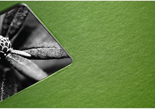 Фотоалбум Hama Fine Art в които корици, 24 x 17 см, Яблочно-зелен, 50 черни страници, 24 x 17 см