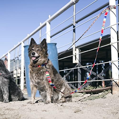 Каишка за кучета Hooey Nomad, Здрава Каишка от полиэстеровой мрежи с Графични щампи, в западния флорални мотиви, 6'