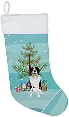 Caroline's Treasures WDK2969CS Бернская Планинско куче #2 Коледни Чорапи, чорапи за окачване на камината, Коледен Сезон, декорация за Партита, Семейни Празнични Украси,