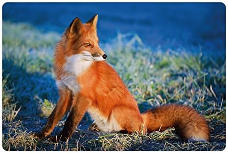 Подложка за домашни любимци Ambesonne Fox за храна и вода, Спокойно Есен полето Студено сутринта с Лисьим Природа, Трева