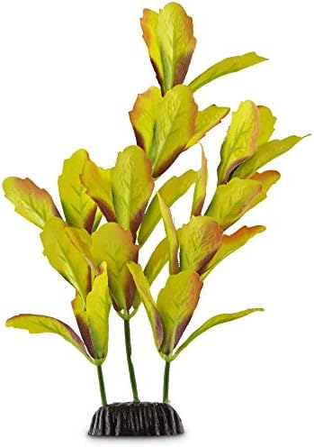 Акварелни бои imagitarium, аквариумное растение за преден план, малка