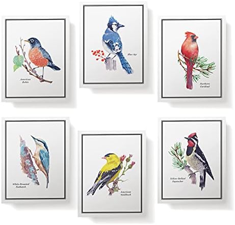 Хартия Twigs - Картички за бележки American Birds - Комплект от 12 Празни поздравителни картички с конвертами (5,5 х 4,25