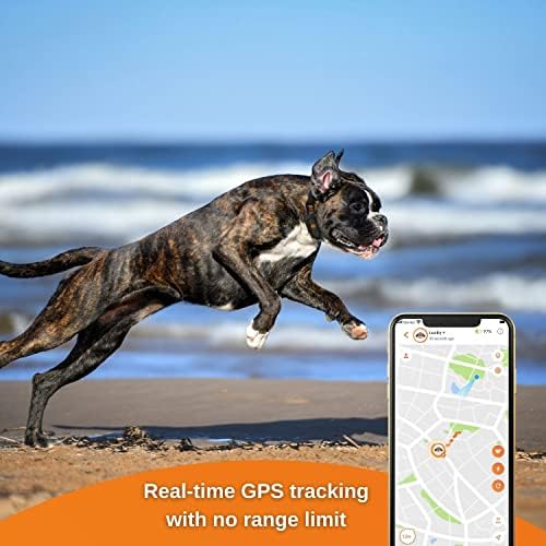 GPS тракер Weenect за кучета XS (Black Edition 2023) | GPS-трекинг в реално време | Без ограничения обсег | Най-малката