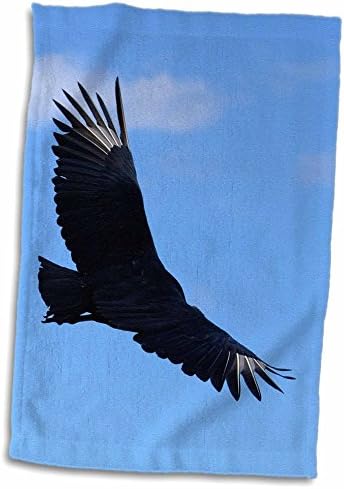 Кърпи 3dRose Florene Birds - Freedom - (twl-7350-1)
