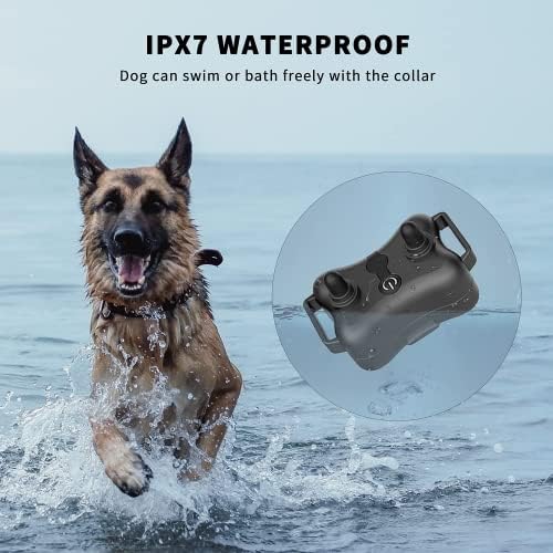 Нашийник за дресура на кучета Segorts с дистанционно управление - Акумулаторна батерия водоустойчив нашийник за шокирования кучета с 2 приемници