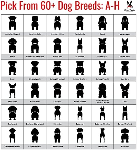 Персонализирани Титуляр за кучешка каишка на стената|, Направени в САЩ Уорън Лондон | Куки за кучешка каишка на поръчка за