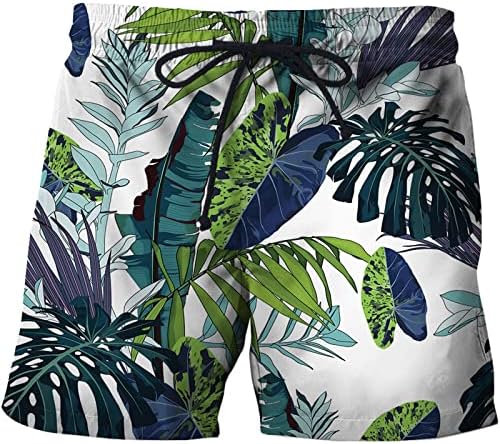 Мъжки Плажни Шорти, Бански костюми, Мъжки Летни Плажни панталони за почивка и Пътуване с принтом, разнообразни плажни панталони,