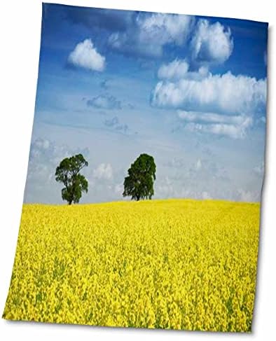 Кърпи 3dRose Florene Country Life - Жълто Крайградски поле със Синьо небе - twl-47897-1)