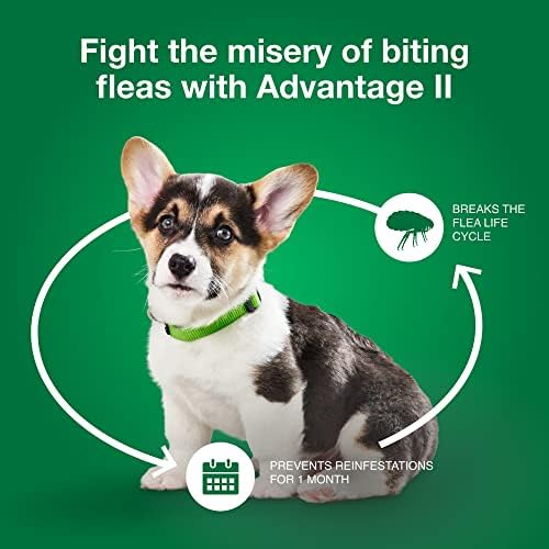 Advantage II Ветеринарен лекар за малки кучета - Препоръчителното лечение и профилактика на бълхи | Кучета с тегло 3-10 кг | 6-месечен