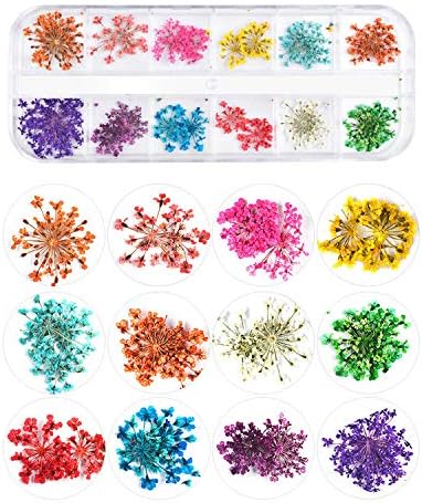 NEPAK 4 Кутии За нокти със Сушени Цветя и 3D Пеперуди, Лъскави Пайети за нокти, Холограма Блясък за нокти, декорация за Маникюр