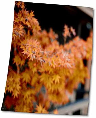 3. Японската колекция от хавлии KIKE CALVO - Оригинално растение в Сиракаве-minami-dori - Towels (twl-216106-3)