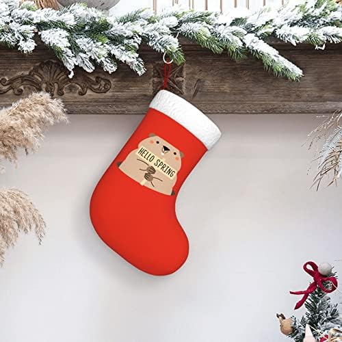Waymay Щастлив Ден Groundhog Коледа На Отглеждане 18 Инча(А)А) Коледен Окачен Чорап Класически Празнични Украси Чорапи