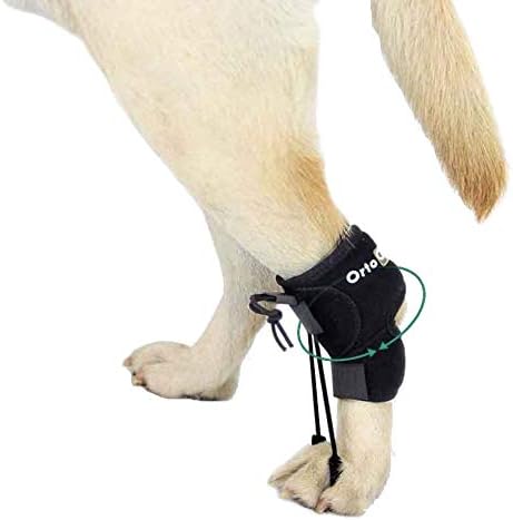 Ortocanis - Проприоцептивный коректор за кучета с увреждания на Седалищния нерв, миелопатией и увреждания на гръбначния