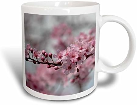 Керамична Чаша с цветен модел 3dRose Pink Cherry Blossom, 11 грама, Бяла