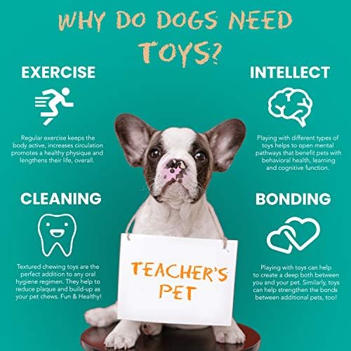 Пухкави играчки за агресивни дъвчащи кучета: Напълно естествен каучук, Здрава играчка за дъвчене на кучетата, Наполняемые Интерактивни