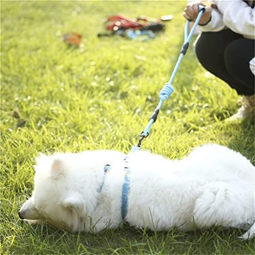 N/A Кученце на каишка Найлонов каишка за домашен любимец за джогинг кучета и котки Или Тренировъчен нашийник и шлейка (Цвят: B размер: Голям)