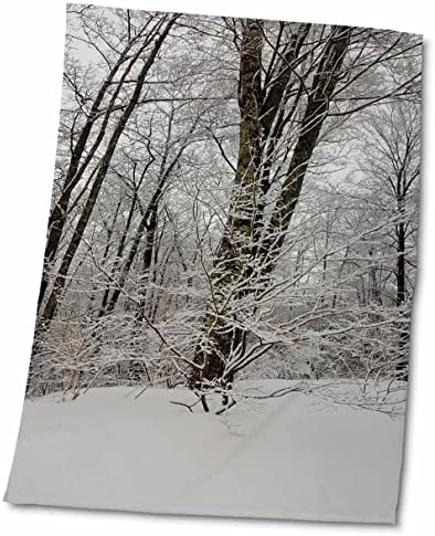 3дросите Заснежените клони, Красиви Зимни Снимки - кърпи за фотография (twl-284904-3)