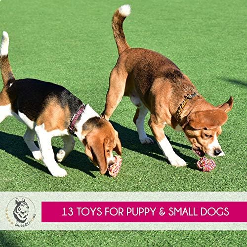 Играчки за кучета - Набор от играчки на въже за малки кучета - Играчки за малки кученца Играчки за малки кученца Играчки