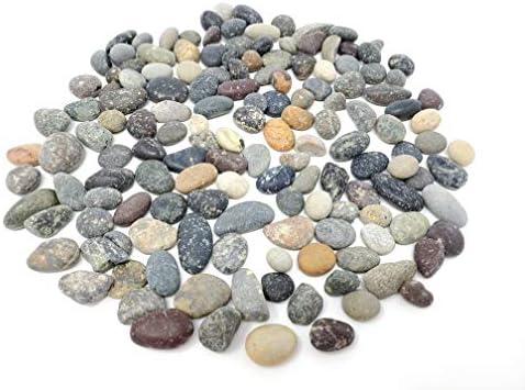 Capcouriers Малки речни камъни (обикновен) - Естествени камъни на водолея - Декоративен чакъл - Гладки камъни - Около 0,5 - 0,75 инча