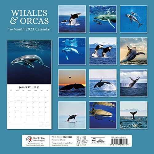 Месечен Стенен календар кит на 2023 година от Red Robin Calendars 12 x 12