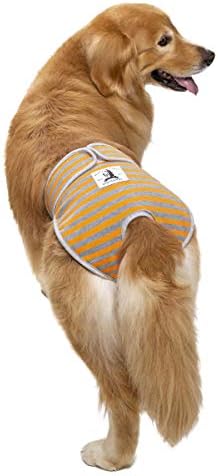 Пере Пелени за кучета Miaododo, за Многократна употреба Розово + Оранжев + Зелен Шарени панталони за кучета Doggie in Heat