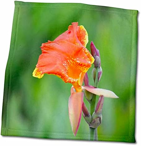3. Цвете за екипажа на зоологическата градина Сюзън Сьюзанс - Оранжево-Жълто Флорида цвете - Кърпи (twl-216004-3)